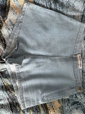 American Apparel Pale Blue High-Waist Denim Shorts